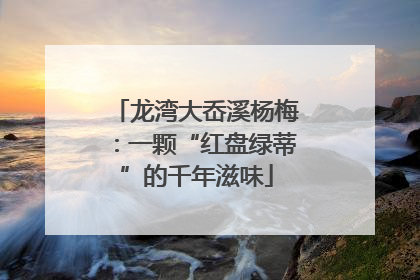 龙湾大岙溪杨梅：一颗“红盘绿蒂”的千年滋味