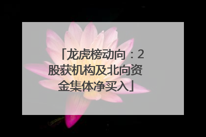 龙虎榜动向：2股获机构及北向资金集体净买入