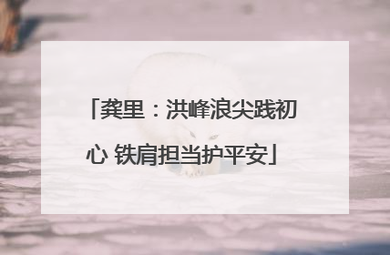 龚里：洪峰浪尖践初心 铁肩担当护平安