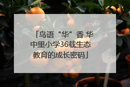 鸟语“华”香 华中里小学36载生态教育的成长密码