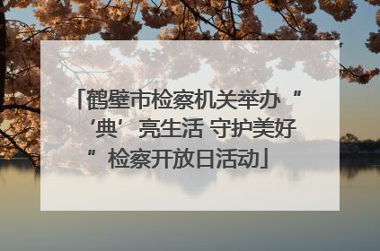 鹤壁市检察机关举办“‘典’亮生活 守护美好”检察开放日活动