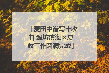 麦田中谱写丰收曲 潍坊滨海区夏收工作圆满完成