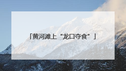 黄河滩上“龙口夺食”