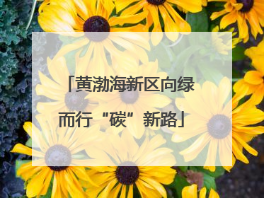 黄渤海新区向绿而行“碳”新路