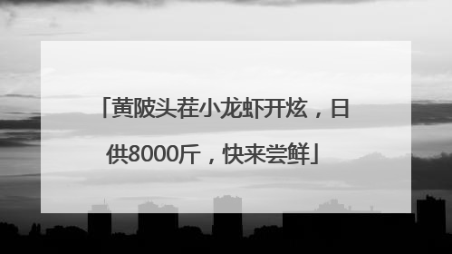 黄陂头茬小龙虾开炫，日供8000斤，快来尝鲜