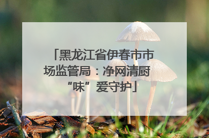 黑龙江省伊春市市场监管局：净网清厨 “味”爱守护