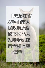 黑龙江省双鸭山市人民政府原副秘书长马为先接受纪律审查和监察调查