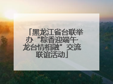 黑龙江省台联举办“粽香迎端午·龙台情相融”交流联谊活动