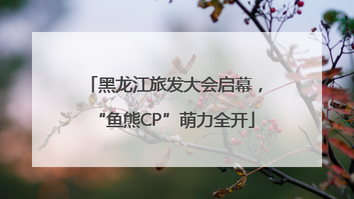 黑龙江旅发大会启幕，“鱼熊CP”萌力全开