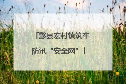 黟县宏村镇筑牢防汛“安全网”