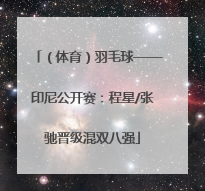 （体育）羽毛球——印尼公开赛：程星/张驰晋级混双八强
