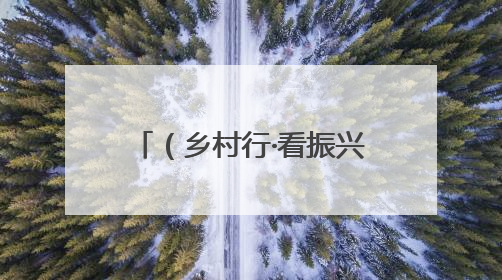 （乡村行·看振兴）吉林辉南荒山变“绿色银行” 绿水青山有“钱景”
