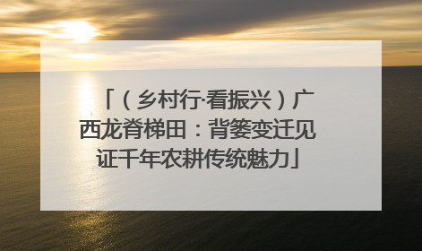 （乡村行·看振兴）广西龙脊梯田：背篓变迁见证千年农耕传统魅力