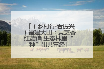 （乡村行·看振兴）福建大田：灵芝香红菇俏 生态林里“种”出共富经