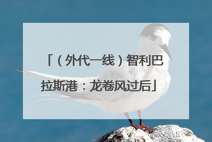 （外代一线）智利巴拉斯港：龙卷风过后
