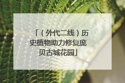 （外代二线）历史植物助力修复庞贝古城花园