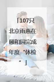 107只北京雨燕在颐和园完成年度“体检”