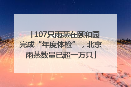 107只雨燕在颐和园完成“年度体检”，北京雨燕数量已超一万只