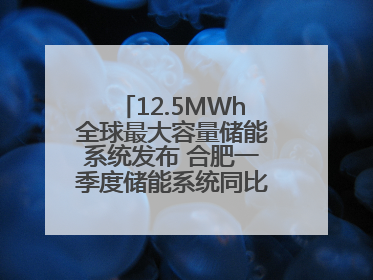 12.5MWh全球最大容量储能系统发布 合肥一季度储能系统同比增长425%