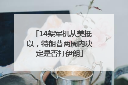 14架军机从美抵以，特朗普两周内决定是否打伊朗