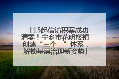 15起信访积案成功清零！宁乡市花明楼镇创建“三个一”体系，解锁基层治理新姿势