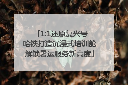 1:1还原复兴号 哈铁打造沉浸式培训舱解锁暑运服务新高度