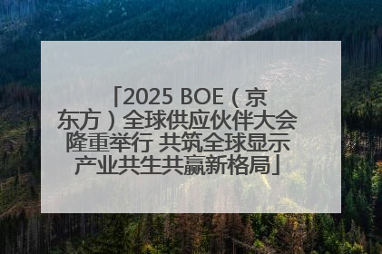 2025 BOE（京东方）全球供应伙伴大会隆重举行 共筑全球显示产业共生共赢新格局