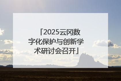 2025云冈数字化保护与创新学术研讨会召开