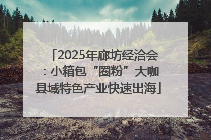2025年廊坊经洽会：小箱包“圈粉”大咖 县域特色产业快速出海