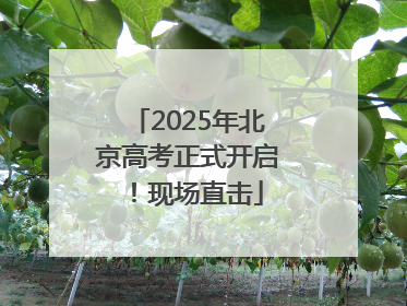 2025年北京高考正式开启！现场直击