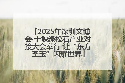 2025年深圳文博会·十堰绿松石产业对接大会举行 让“东方圣玉”闪耀世界