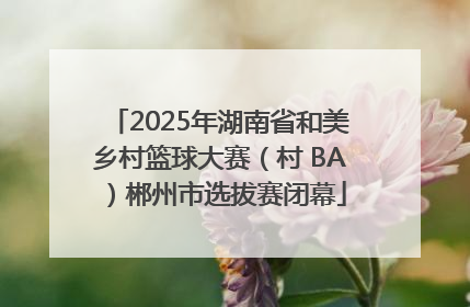 2025年湖南省和美乡村篮球大赛（村 BA）郴州市选拔赛闭幕