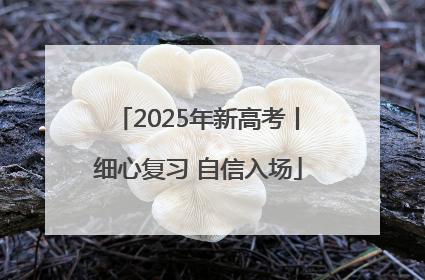 2025年新高考丨细心复习 自信入场