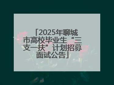 2025年聊城市高校毕业生“三支一扶”计划招募面试公告