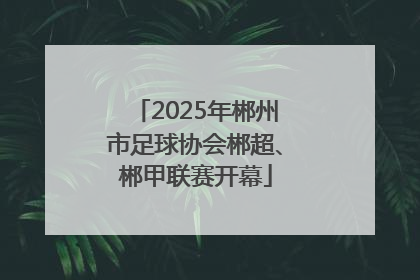 2025年郴州市足球协会郴超、郴甲联赛开幕