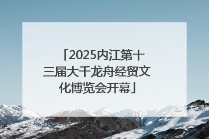 2025内江第十三届大千龙舟经贸文化博览会开幕