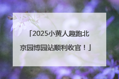 2025小黄人趣跑北京园博园站顺利收官！