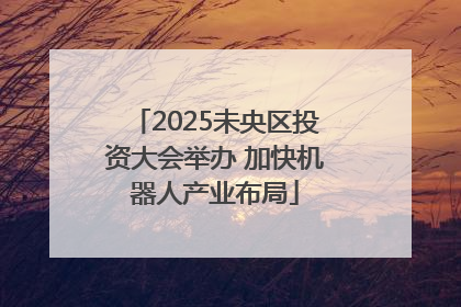 2025未央区投资大会举办 加快机器人产业布局