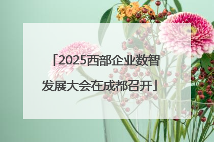 2025西部企业数智发展大会在成都召开