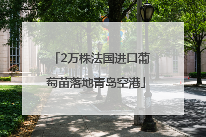 2万株法国进口葡萄苗落地青岛空港