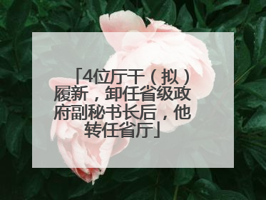 4位厅干（拟）履新，卸任省级政府副秘书长后，他转任省厅