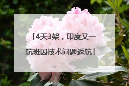 4天3架，印度又一航班因技术问题返航