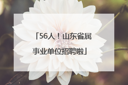 56人！山东省属事业单位招聘啦