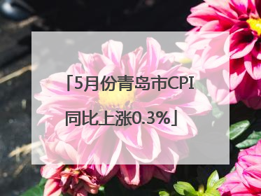 5月份青岛市CPI同比上涨0.3%