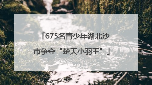675名青少年湖北沙市争夺“楚天小羽王”