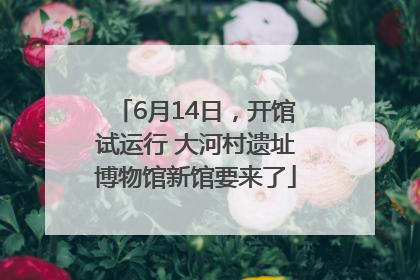 6月14日，开馆试运行 大河村遗址博物馆新馆要来了