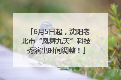 6月5日起，沈阳老北市“凤舞九天”科技秀演出时间调整！