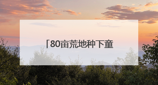 80亩荒地种下童话，珠海这对夫妻“为了家乡我愿意”