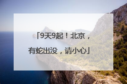 9天9起！北京，有蛇出没，请小心