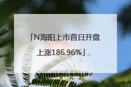 N海阳上市首日开盘上涨186.96%